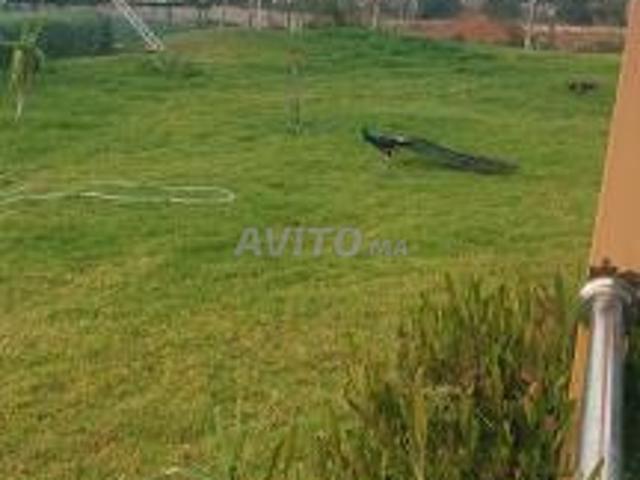 Propriété vente à Tit Mellil, Gharb-Chrarda-Beni Hssen
