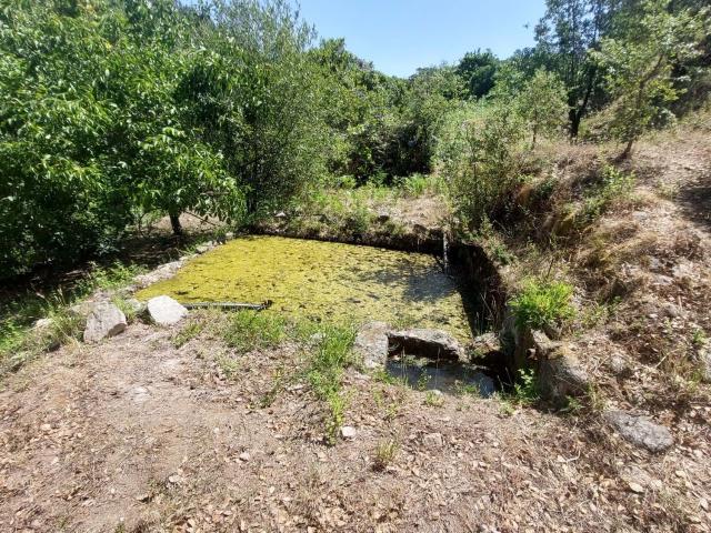 Quinta venda em Monchique, Faro