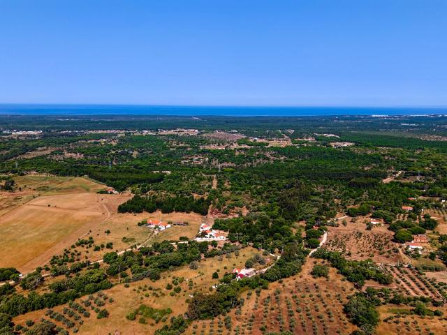 Terreno venda em Valinho da Estrada, Grândola