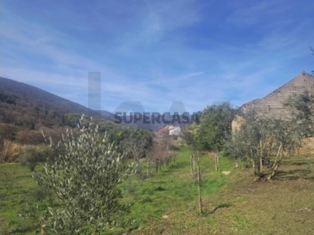 Casa venda em Guarda