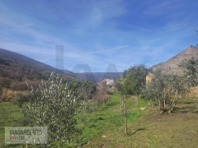 Casa venda em Guarda