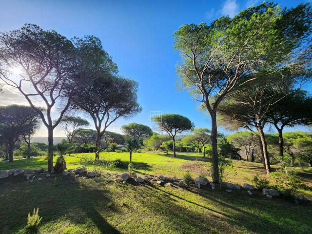 Quinta venda em Loulé, Faro