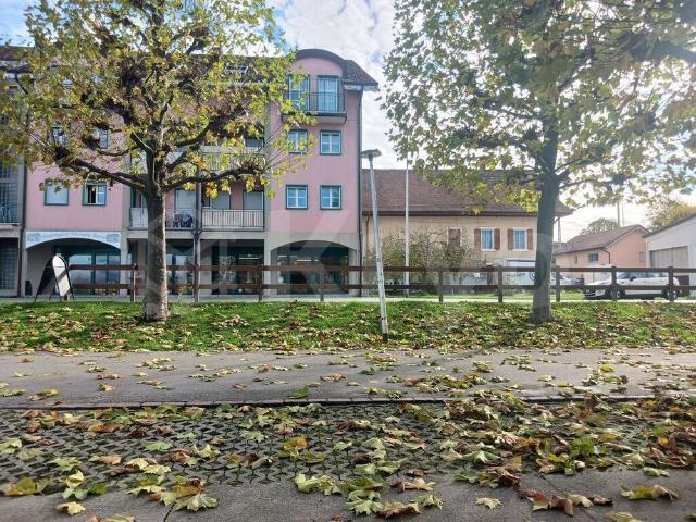Apartment mieten in Payerne, Waadt