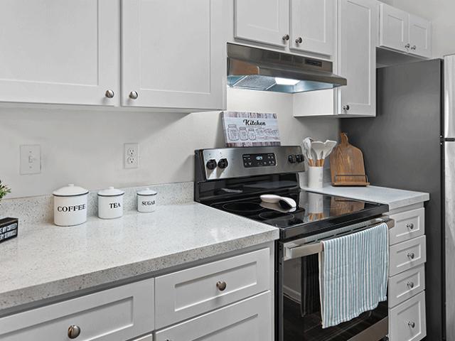 Apartment for rent in New Port Richey, Florida