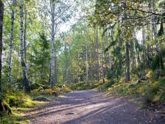 Stuga hyra i Stora Mellansjö, Stockholms län
