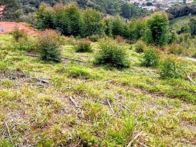 Terreno venda em Delfim Moreira