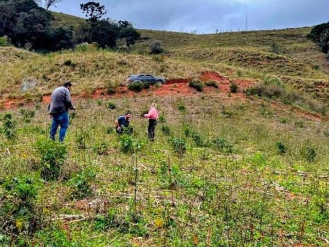 Terreno venda em Região Geográfica Imediata de Itajubá, Marmelópolis
