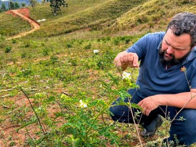 Terreno venda em Região Geográfica Imediata de Itajubá, Marmelópolis