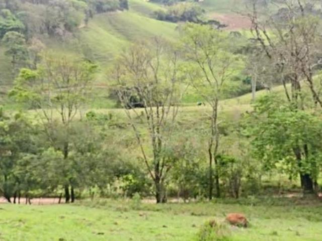 Terreno venda em Região Geográfica Imediata de Pouso Alegre, Camanducaia