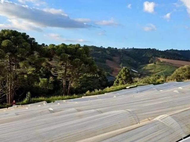 Terreno venda em Região Geográfica Imediata de Pouso Alegre, Senador Amaral