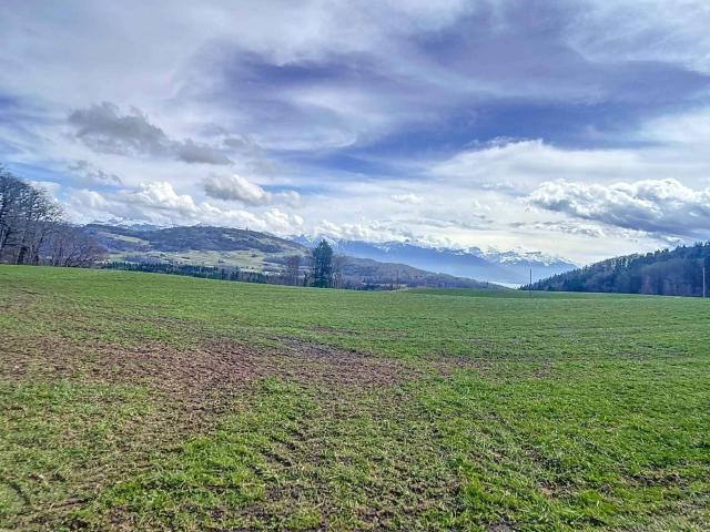 Einfamilienhaus kaufen in Forel (Lavaux), Waadt
