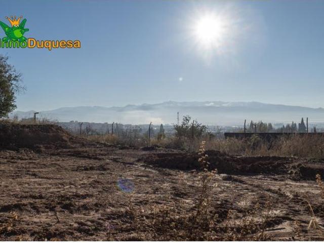 Local Comercial en venta en Peligros, Urbanización Nueva Monteluz