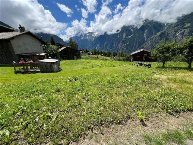 Grundstück kaufen in Grächen, Wallis