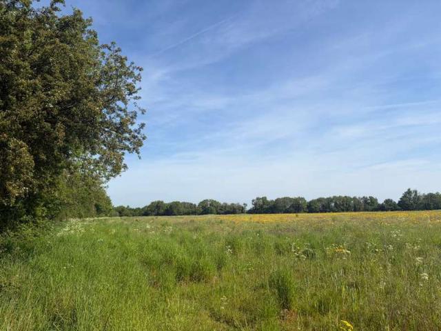 Property for sale in Fossebridge, Gloucestershire