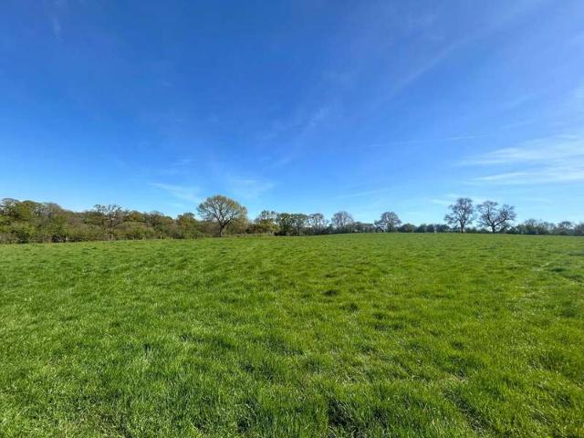 Property for sale in Broadwindsor, East Dorset