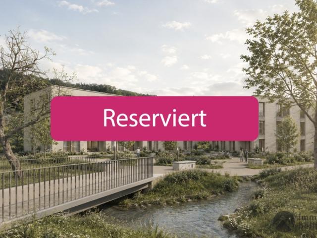 Grundstück kaufen in Hallwil, Bezirk Lenzburg