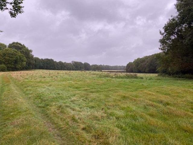 Property for sale in Orlestone, Bridgefield