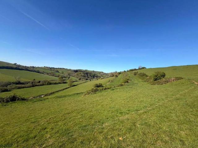 Property for sale in Salwayash, East Dorset
