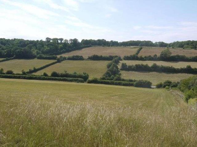 Property for sale in The Bridge, Kent