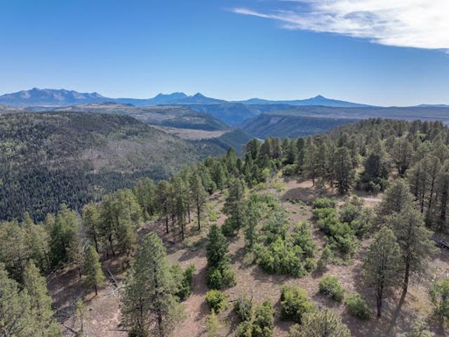 Property for sale in Colorado