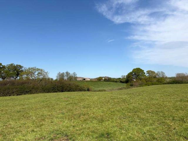 Property for sale in East Dorset