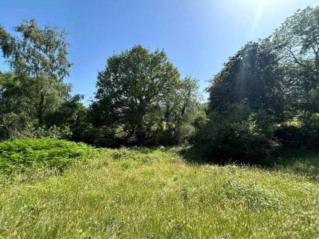 Property for sale in Wootton Fitzpaine, East Dorset