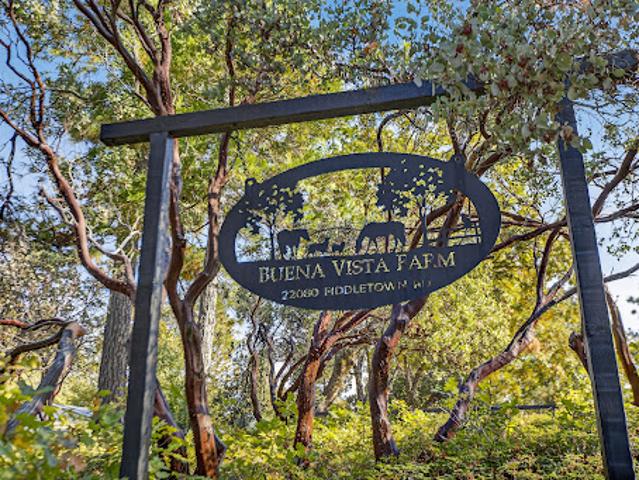 Property for sale in Pine Grove, California
