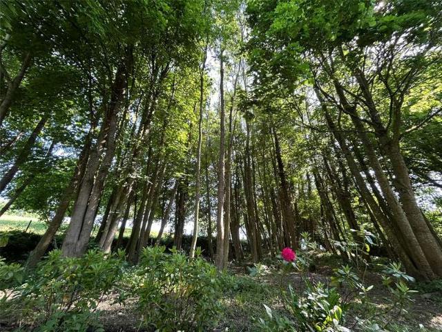 Property for sale in Combe St Nicholas, Somerset