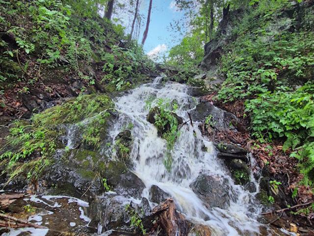 Property for sale in Washington, Northwest Hills Planning Region