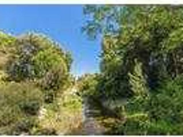 House for rent in Laguna Woods, California