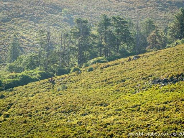 Property for sale in Strode, Devon