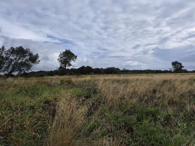 Property for sale in Prestwick, Ingoe