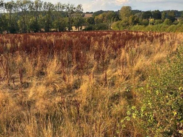 Property for sale