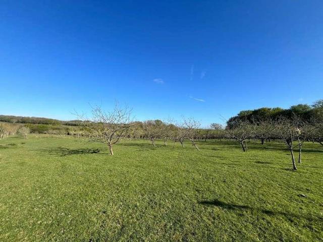 Property for sale in Cross In Hand, East Sussex
