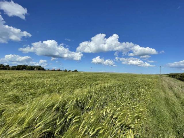 Property for sale in East Newton, Aldbrough