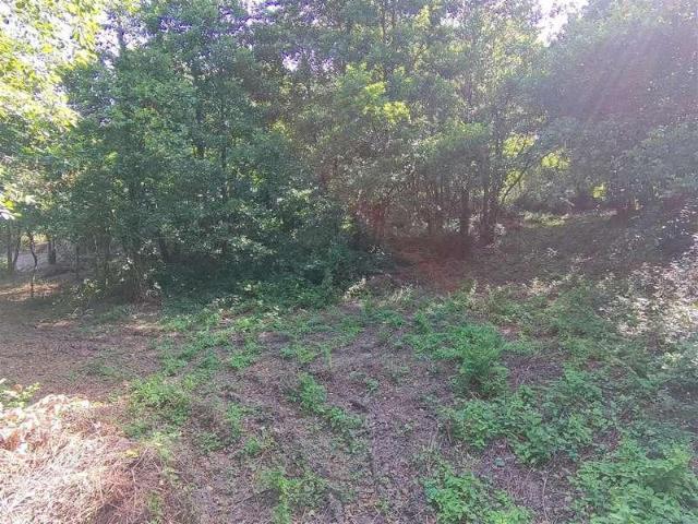 Property for sale in Ammanford, Wales