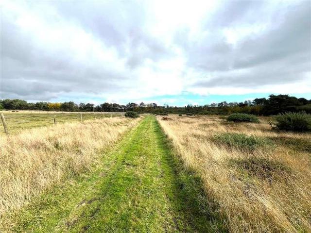 Property for sale in St Leonards, East Dorset