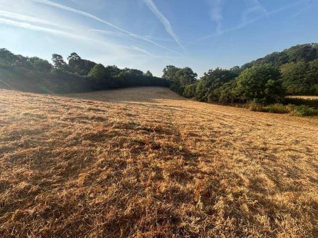 Property for sale in Bridford, Devon