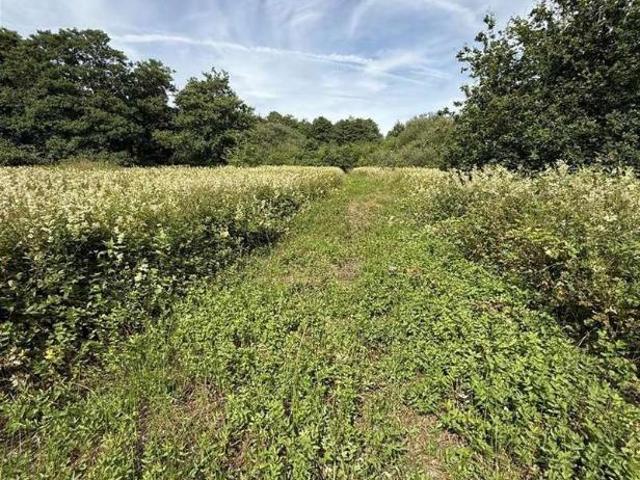 Property for sale in Llandybie, Wales