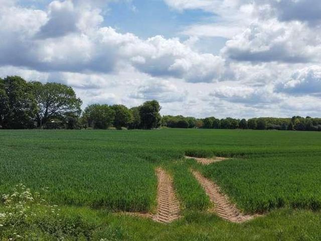 Property for sale in Aldham, Fordham Heath