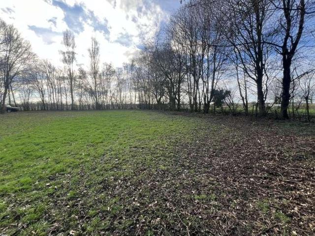 Property for sale in Chelmondiston, Suffolk