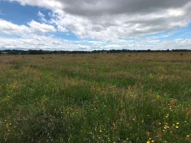 Property for sale in Butleigh, Somerset