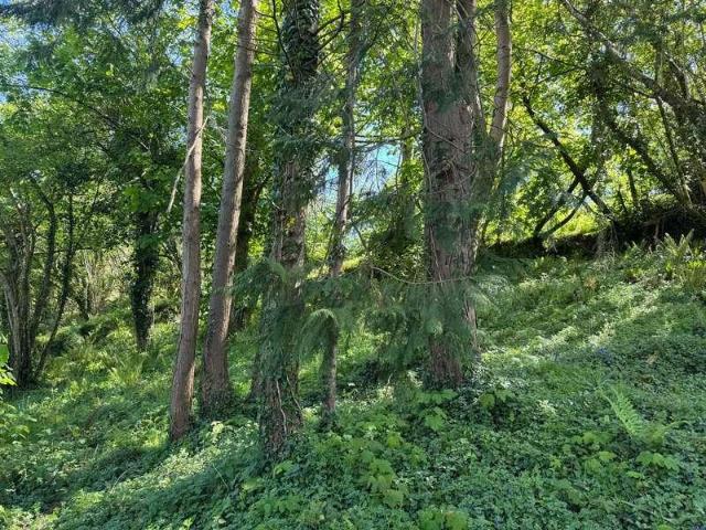 Property for sale in Milton Combe, Weir Quay