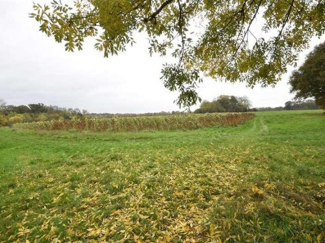 Property for sale in Priest Down, Hampshire