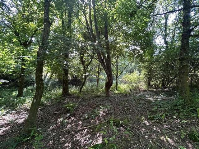 Property for sale in Wootton Fitzpaine, East Dorset