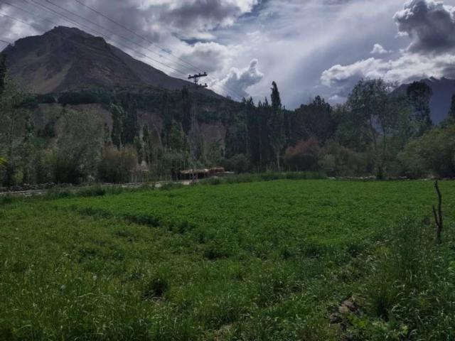 Land for sale in برمس, گلگت