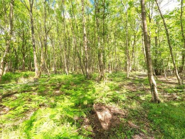 Property for sale in Punnett's Town, Cross In Hand