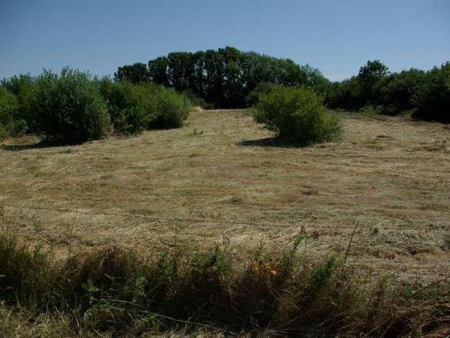 Property for sale in Strode, Devon