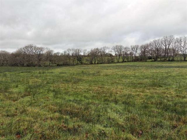 Property for sale in Brandis Corner, Devon