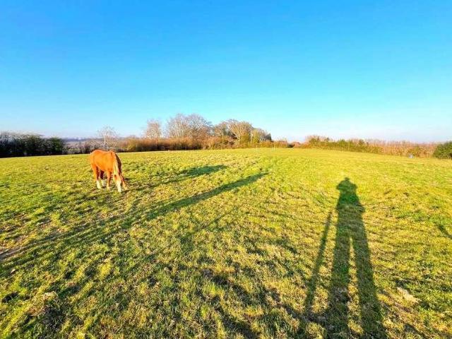 Property for sale in Cross In Hand, East Sussex